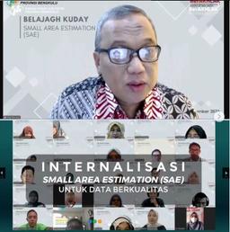 INTERNALISASI SMALL AREA ESTIMATION (SAE) UNTUK DATA YANG BERKUALITAS