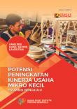 Potential For Increasing The Performance Of Small-Scale Micro Enterprises In Bengkulu Province